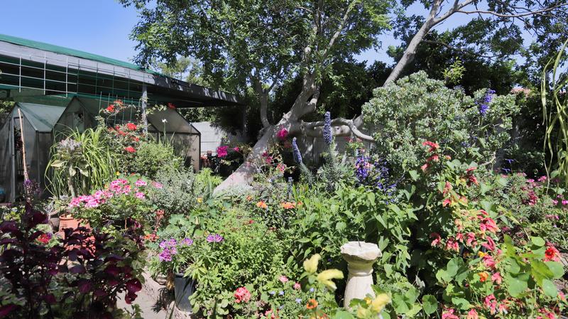 4 Bedroom Property for Sale in Somerset West Western Cape
